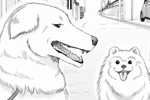 第8話 人だって犬だって、長い物には巻かれとこう!!!