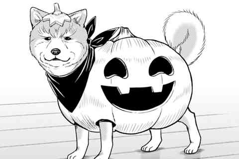 第31話 ウェーイ!犬と一緒に楽しむパーリィ☆ハロウィン!!