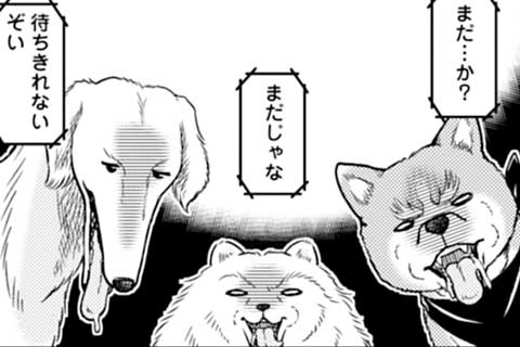 第49話 肉と犬と飼い主と!GWはBBQでリア獣である!!