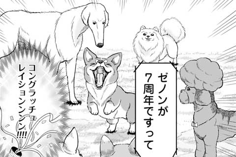 第65話 継続は力なり!ゼノン7周年を祝う!超絶擦り寄りスタイルの犬漫画も実は…??