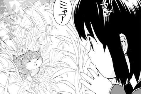 第36話 クサムラ的ミャーミャー