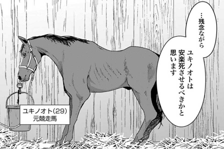 第8話 ずっとずっとありがとう（１）