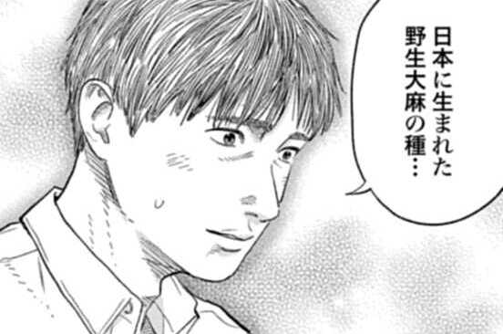 第87話 キタシャイン（１）