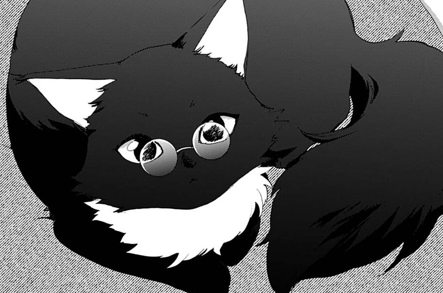 第6話 タヌキと黒猫のモフモフパラダイス