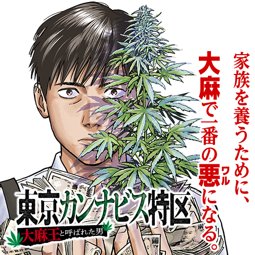 東京カンナビス特区 大麻王と呼ばれた男 - 稲井雄人 / 第1話 金の生る草 | ゼノン編集部